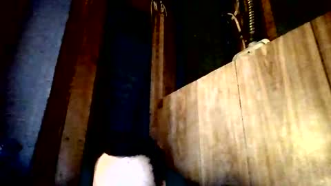 Snapshot of stonedstallion2019 chatting on April 2, 7:33 pm stonedstallion2019 online show from April 2, 7:33 pm