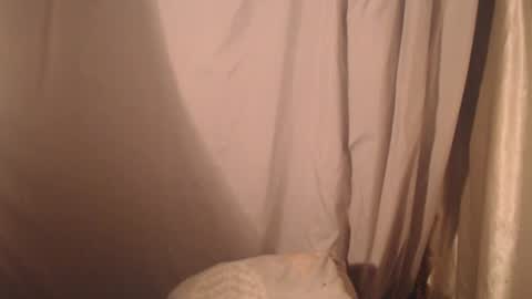 Snapshot of stonenipple chatting on October 28, 5:48 pm stonenipple online show from October 28, 5:48 pm