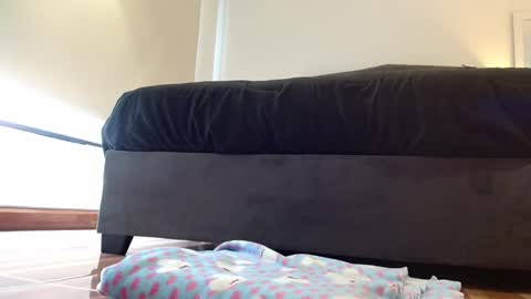 storm_hanks online show from February 8, 1:47 pm