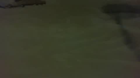 Snapshot of stratocatster chatting on January 11, 4:46 pm stratocatster online show from January 11, 4:46 pm