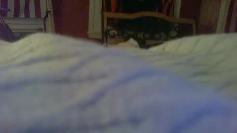 Snapshot of stratocatster chatting on January 24, 2:39 am stratocatster online show from January 24, 2:39 am