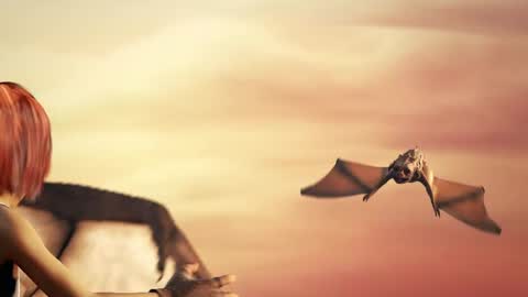 Snapshot of stream247_v2 chatting on January 15, 10:24 pm stream247_v2 online show from January 15, 10:24 pm