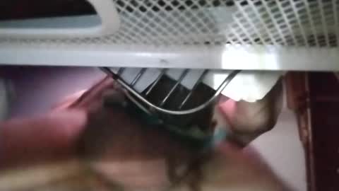 stuffamuffagus69 online show from November 18, 1:11 am