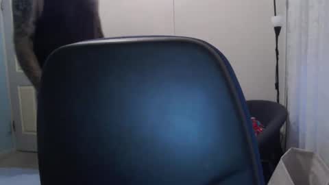 Snapshot of stugang chatting on February 17, 9:50 am stugang online show from February 17, 9:50 am