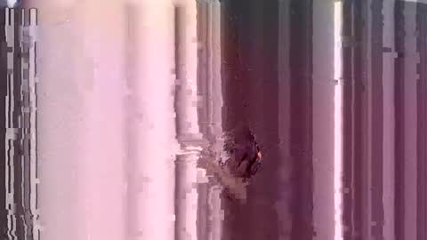 ControlMeViaTeamviewer online show from December 3, 10:28 am