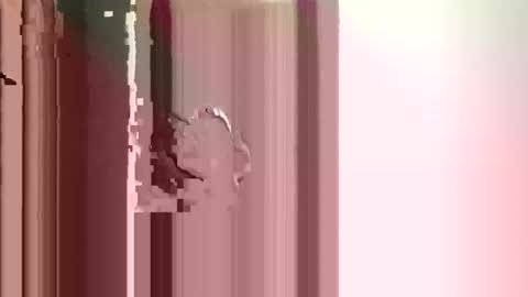 JJ online show from December 17, 2:56 pm