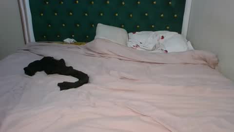 sugarboogers_ online show from February 12, 2:50 am