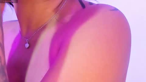 sun online show from November 8, 11:43 am