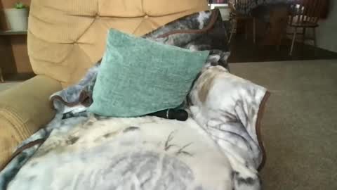 Sunny Clementine online show from March 14, 5:18 pm