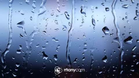 sven online show from February 4, 6:58 pm