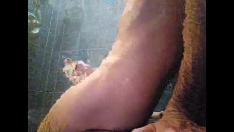 Snapshot of surferxzx chatting on January 27, 12:54 am surferxzx online show from January 27, 12:54 am