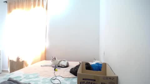 Snapshot of susanaduncann chatting on January 23, 4:59 pm Susana online show from January 23, 4:59 pm