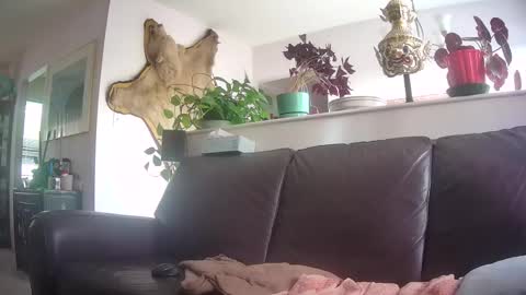 Snapshot of suv1 chatting on October 7, 9:56 pm Otto online show from October 7, 9:56 pm