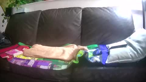 Snapshot of suv1 chatting on October 26, 4:29 am Otto online show from October 26, 4:29 am