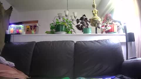 Snapshot of suv1 chatting on January 16, 5:33 am Otto online show from January 16, 5:33 am