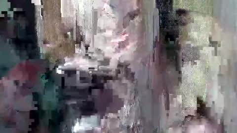 sweet_chel online show from May 9, 2:39 am