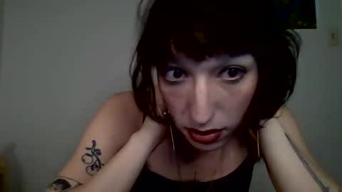 sweet_harvey online show from April 10, 12:38 am