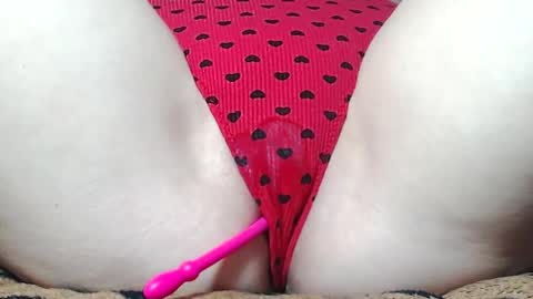 Kitten online show from May 17, 8:23 am