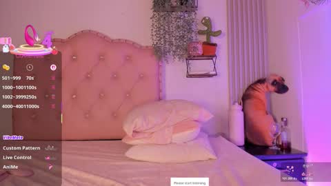 Nicol online show from December 22, 5:59 am