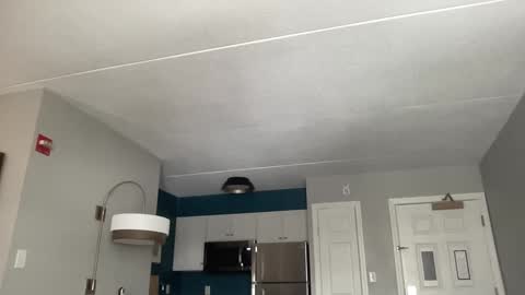 Daisy online show from February 13, 5:01 pm