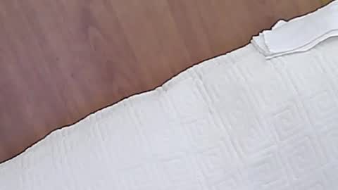 Stacy online show from July 28, 4:39 pm