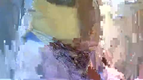 Snapshot of sweetlustylana chatting on November 24, 7:24 pm sweetlustylana online show from November 24, 7:24 pm