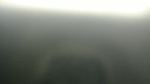 Snapshot of sweetpussy135 chatting on April 3, 3:59 am slim ivy online show from April 3, 3:59 am