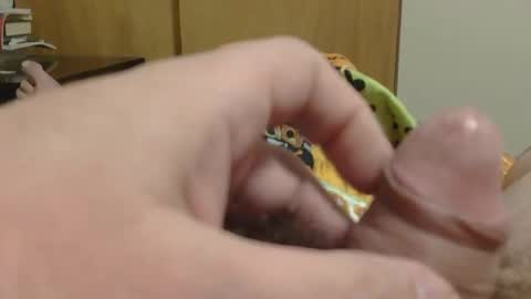 Snapshot of sweetrevengelol chatting on December 19, 9:33 pm SweetRevenge online show from December 19, 9:33 pm