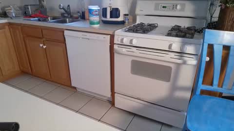 Snapshot of switchykitty chatting on December 8, 7:11 pm ashley blayde online show from December 8, 7:11 pm