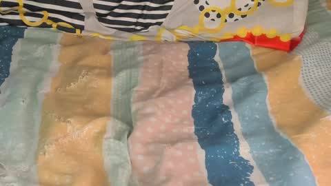Lilly  online show from January 26, 12:26 am
