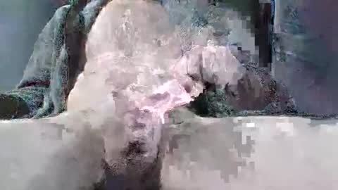 sybomec online show from March 25, 2:34 pm