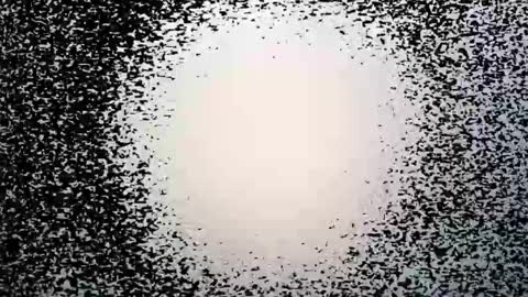 Snapshot of syd666 chatting on March 28, 9:25 pm subfordomme online show from March 28, 9:25 pm