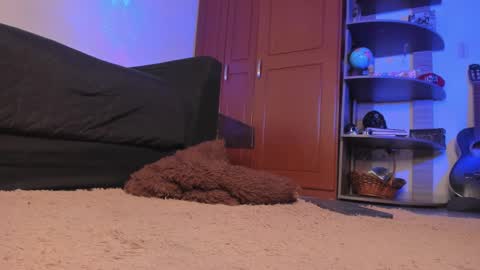 Syd online show from December 18, 2:32 am