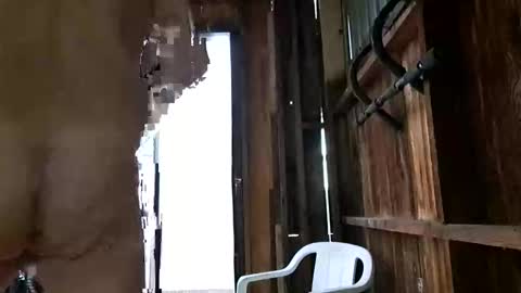 Snapshot of syevecrl chatting on October 27, 12:47 am syevecrl online show from October 27, 12:47 am