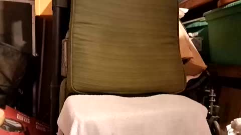 syevecrl online show from February 19, 5:09 pm