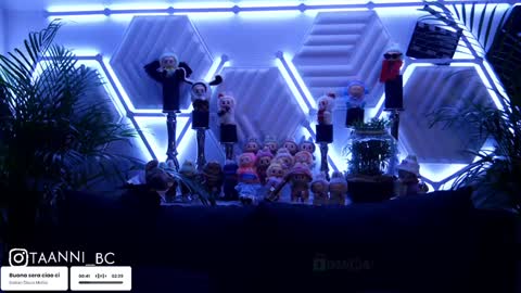 TAANNI online show from October 8, 7:33 pm