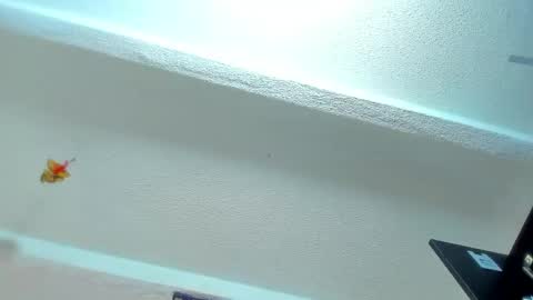 Snapshot of tafari_1 chatting on April 30, 11:05 am Tafari Zulu online show from April 30, 11:05 am