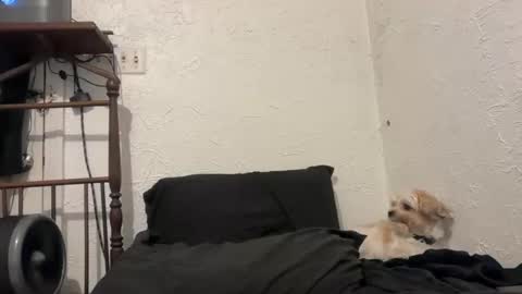 Talen James online show from September 28, 10:26 pm