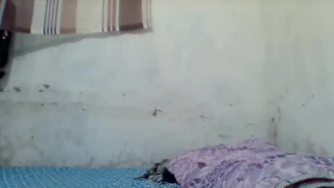 taliah254 online show from December 17, 12:33 pm