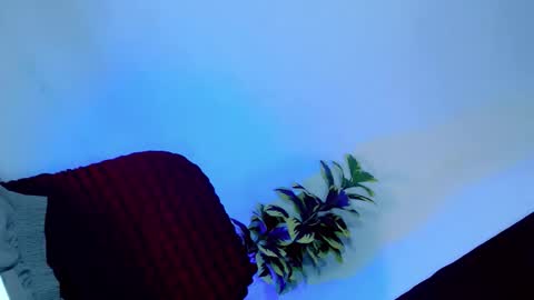 tamera_cummer0969 online show from November 20, 7:57 pm