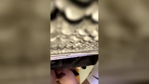 tampa0boner0donor online show from January 19, 5:22 am