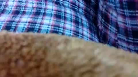 Snapshot of taniya_roy4628 chatting on February 12, 2:50 am taniya_roy4628 online show from February 12, 2:50 am