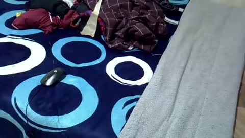 Snapshot of tastie_t chatting on November 1, 6:04 am tastie_t online show from November 1, 6:04 am