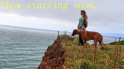 Snapshot of tatum__kahlo chatting on February 2, 11:21 pm TATUM ALL MY LINKS online show from February 2, 11:21 pm