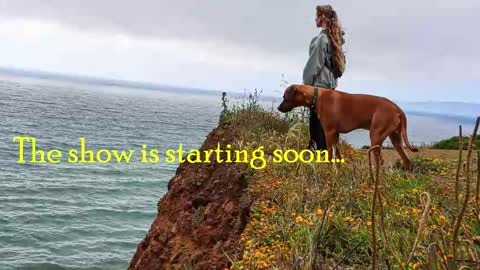 TATUM  ALL MY LINKS  online show from January 5, 9:40 pm