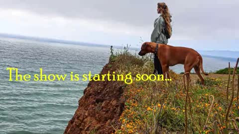 TATUM  ALL MY LINKS  online show from February 28, 12:00 am