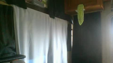 Snapshot of taylafox chatting on February 7, 9:26 pm taylafox online show from February 7, 9:26 pm