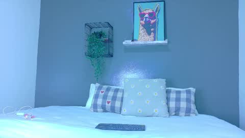 TAYLOR  online show from November 6, 12:17 pm