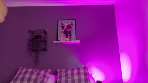 TAYLOR  online show from November 25, 12:05 pm