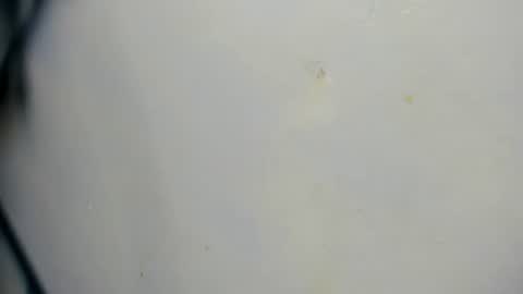 taz_box online show from June 21, 11:51 pm